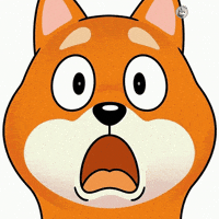Wide Eyes Open Mouth GIF by BONK