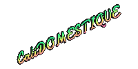 Calidomestique Sticker