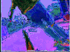 summer colors GIF by MFD