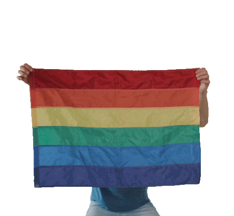 zurichpridefestival giphyupload Sticker