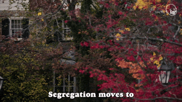 Segregation Moves To The Private Sector