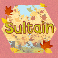 Autumn September GIF