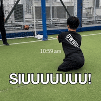 Football Soccer GIF