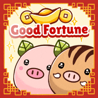China Good Luck GIF