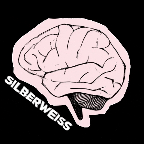Silberweiss giphygifmaker illustration brain kopf GIF