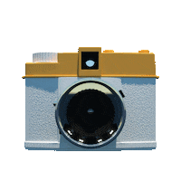 Film 3D Sticker