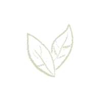 Essentials Superga Sticker by THEDCEDIT