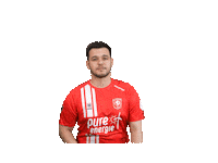 Fc Twente Football Sticker by eDivisie