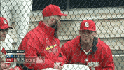 stl GIF by MLB