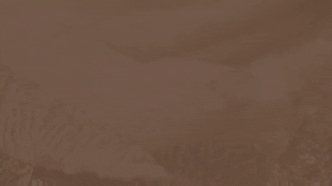 brigadevalenciaaa giphyupload brigadevalencia GIF