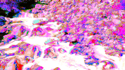 video glitch GIF