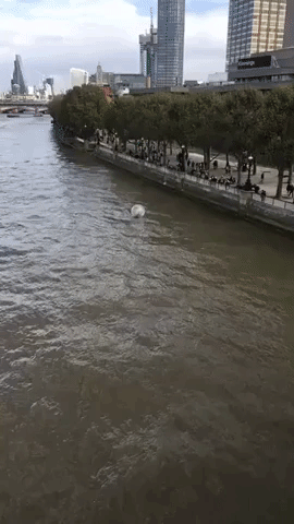 Person in Giant Ball Floats Down Thames