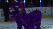 Ice Hockey Sport GIF by NHL