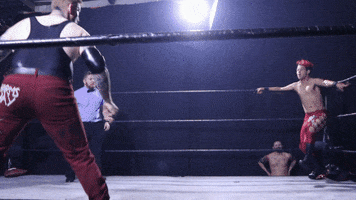 SHWAWrestling perth pro wrestling powerbomb southern hemisphere wrestling alliance german suplex GIF