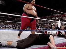 Royal Rumble Wrestling GIF by WWE
