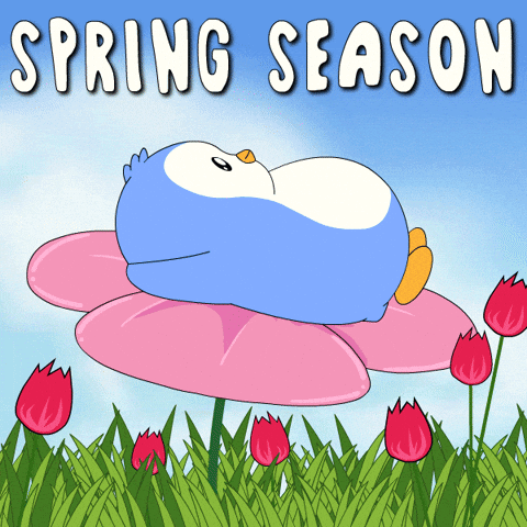 Happy Spring Day GIF by Pudgy Penguins