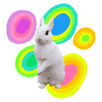 Alice In Wonderland Rainbow Sticker by Sarah The Palmer