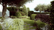 Travel Italia GIF by Casol