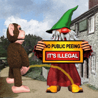 Monkey Wizard GIF