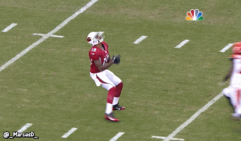 arizona cardinals GIF