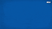 Voting Election 2020 GIF by ACLU