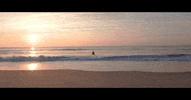 hnryflwr ocean hnryflwr GIF