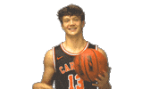 Carson Newman Spinning Sticker by Carson-Newman Athletics