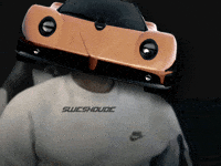 Need For Speed Flight GIF