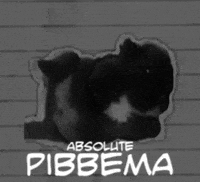 Pibble GIF