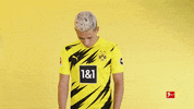 Borussia Dortmund Smiling GIF by Bundesliga
