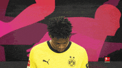 Posing Borussia Dortmund GIF by Bundesliga