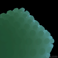 pislices trippy abstract pi-slices GIF