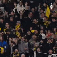 Фанаты Кайрата GIF by FC Kairat