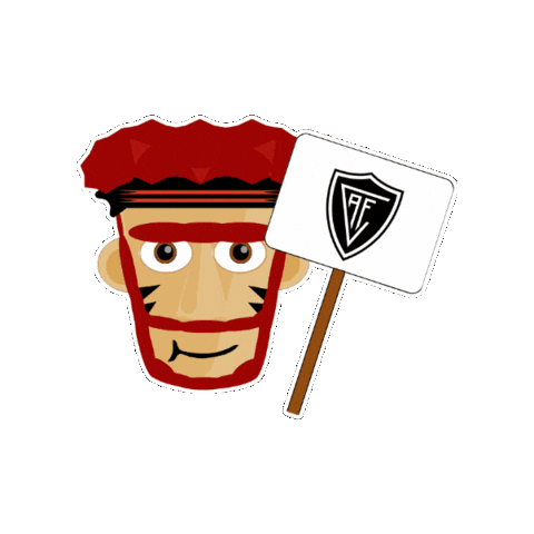 Futebol Portugal Sticker by Académico de Viseu