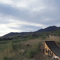 now you see me summer GIF by GoPop