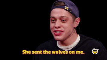 She Sent The Wolves On Me