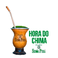 Mate Gaucho Sticker by Seiva Pura