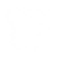 Happy Be Kind Sticker by penguinrandomhouse