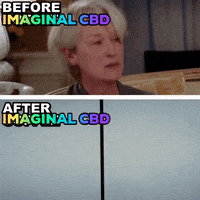 The Devil Wears Prada Coffee GIF by Imaginal Biotech