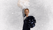American Football GIF by Steelsharks