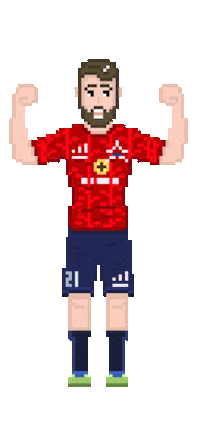 Football Celebrate Sticker by FC SKA
