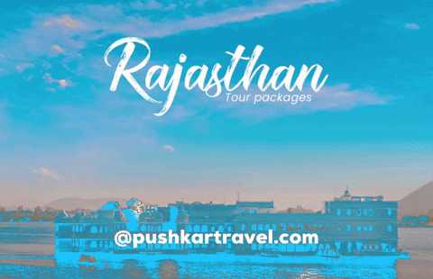 peddlermedia peddlermedia pushkartravelcom GIF