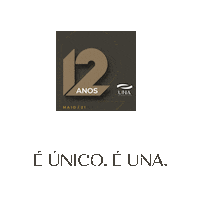 construtorauna una unico passo fundo passofundo Sticker