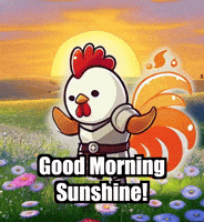 Good Morning Sunshine GIF by Zorooster