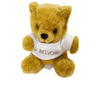 Teddy Bear Sticker by BelvoirIpswich