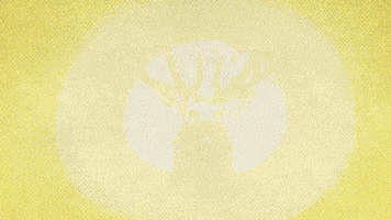 music video animation GIF by Vevo