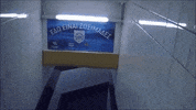 pas_gr football soccer pas pas giannina GIF