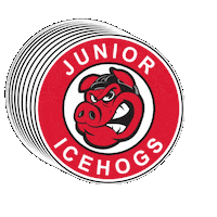 RockfordParkDistrict rockford park district icehogs rockford hockey junior icehogs Sticker