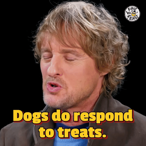 Dogs Do Respond To Treats