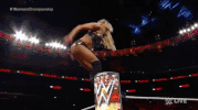 wrestling GIF by WWE